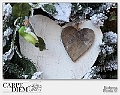 Nel cuore del natale