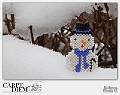 Perle di neve