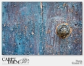 The vintage door