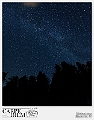 disegni stellari