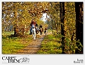 A cavallo tra i colori