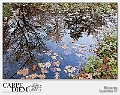 Autunno allo specchio