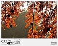 ultime luci d'autunno