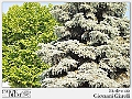 Biodiversità