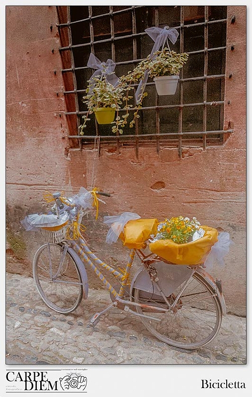 Bicicletta.jpg