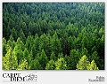 ,_273(2)