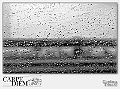 Losguardodalfinestrino,_194