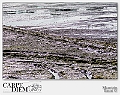 Tracce,_165