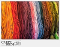 Colors