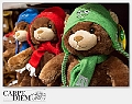 RGBears