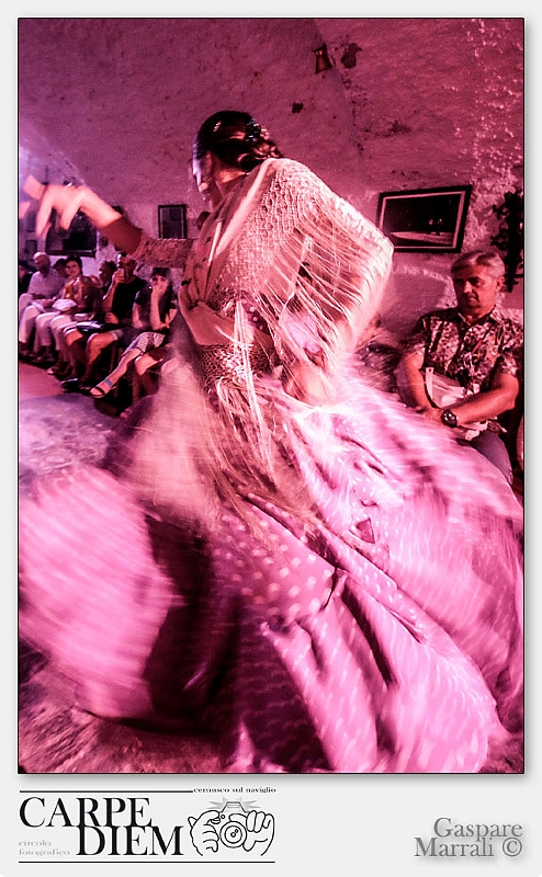 flamenco,_140(1).jpg