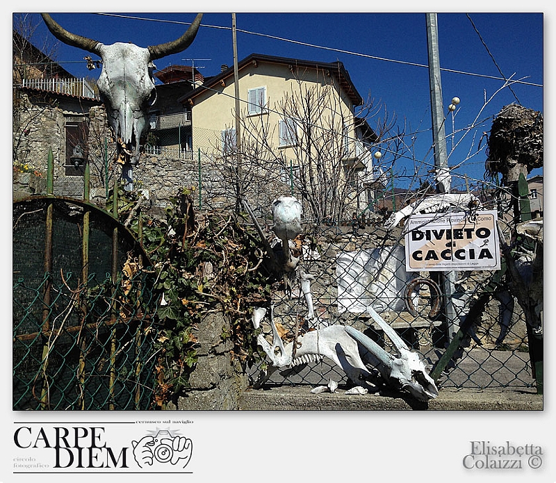 DIVIETO_di_CACCIA,_139.jpg