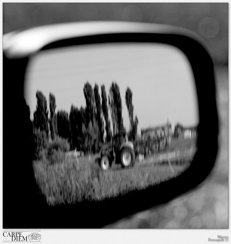 CAMPI.jpg