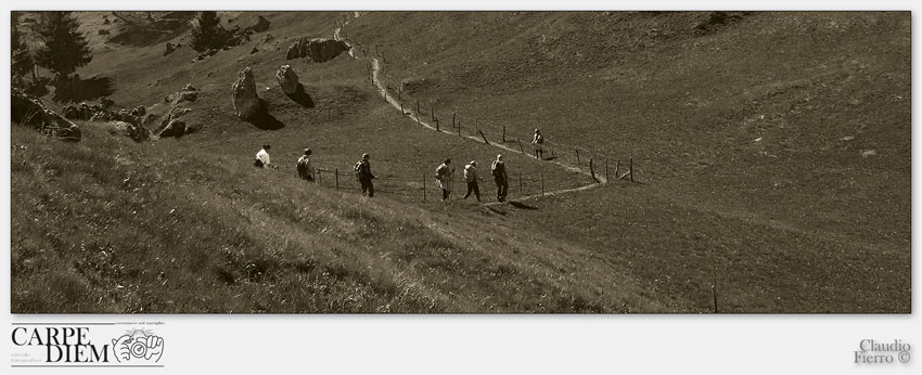 CAMMINANDO.jpg