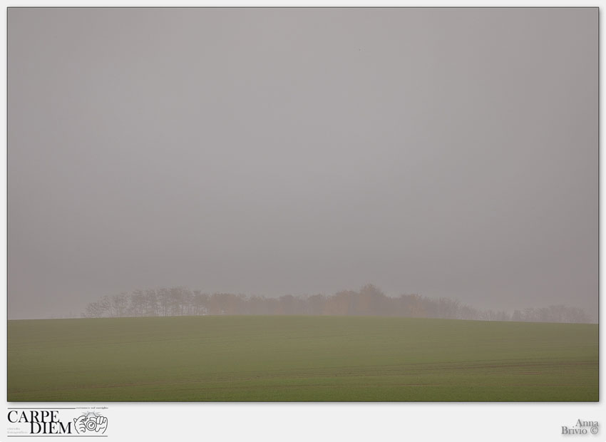NOVEMBRE.jpg