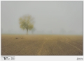 ASTRATTO