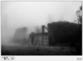 ROVINE