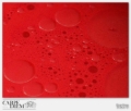 BOLLICINE