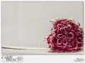 RED BUBBLES