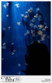 NEL BLU DIPINTO DI BLU