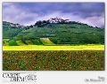 L ARRIVO DELLA FIORITURA A CASTELLUCCIO DI NORCIA