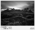 VESTRAHORN