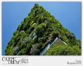 BOSCO VERTICALE