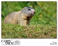 _DSC5866