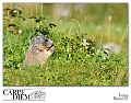 _DSC5871