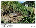 _DSC5948