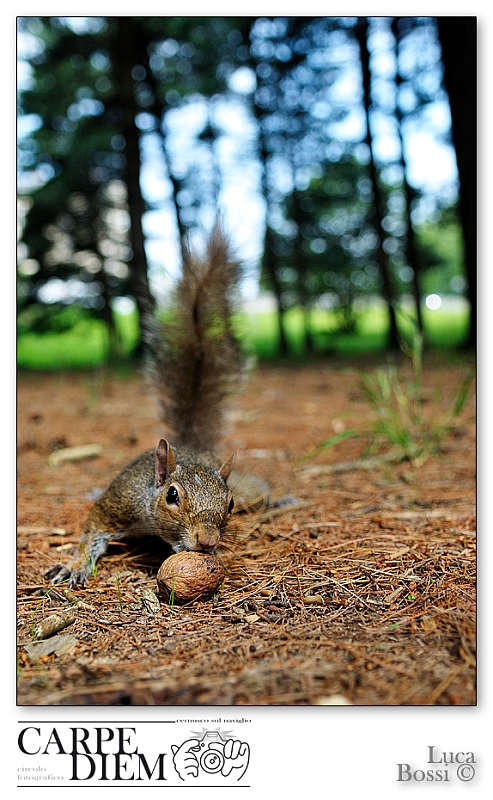 DSC_4075.jpg