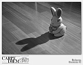 0027-L-CSC_3235