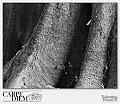 0030-S-CSC_0082