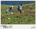 _DSC3048