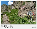 _DSC3081