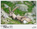 _DSC3591