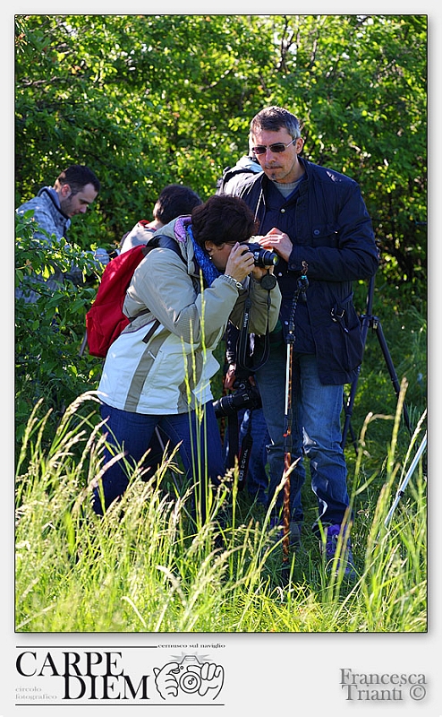 Francesca_Trianti-2013-0511-WS-01.jpg