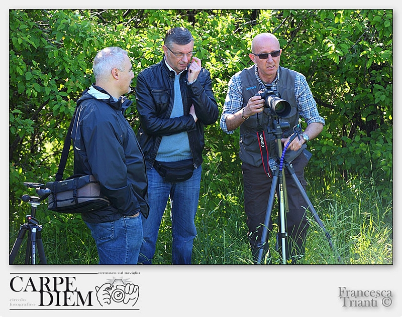 Francesca_Trianti-2013-0511-WS-08.jpg