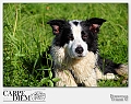 Francesca_Trianti-2013-0511-WS-09