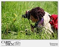 Francesca_Trianti-2013-0511-WS-13