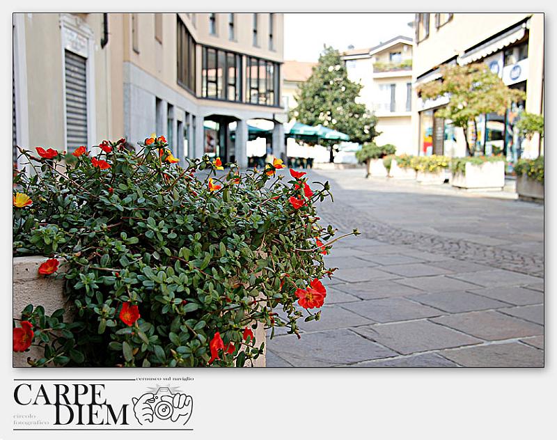 3055-Verde_Urbano-04_014-4272.jpg
