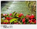 4047-Bollicine-02_014-Bollicine