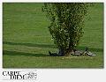 4048-relax-01_003-DSC_2303