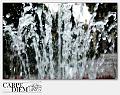 3124-H2_Oro-05_007-acqua