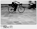 4078-in_corso_di_corsa-02_003-DSC_8381