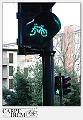 5062-AVANTI_TUTTI-05_002-SAM_0400