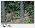 5064-USCITE_PERICOLOSE-04_013-IMG_9800