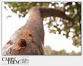 5066-LA_LUNGA_STRADA-04_013-IMG_9972