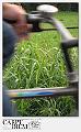 5069-PISTAAA-05_006-IMG_8131