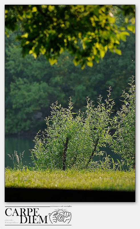 2-_DSC9171.jpg